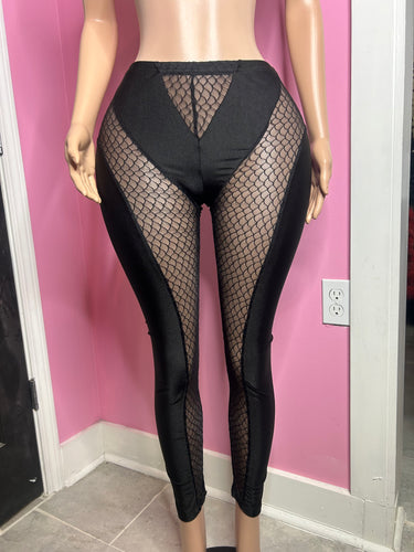 Sexy ASF V Mesh Knitted Legging- Black