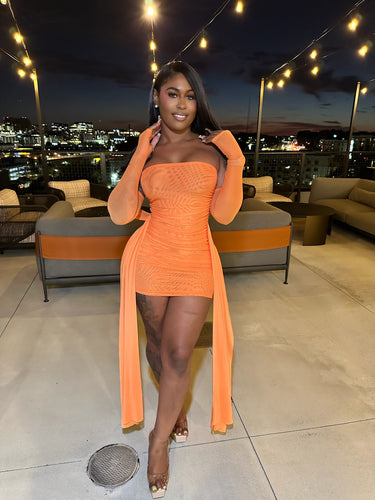 Slay The Night Sheer Mini Dress – Orange