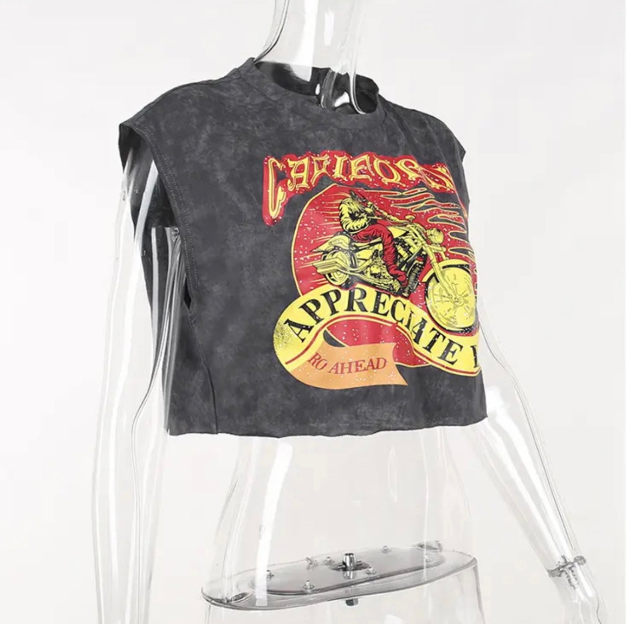 Appreciate Life Graphic Crop Top- Gray